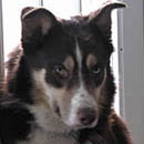 Danny was adopted in March, 2005